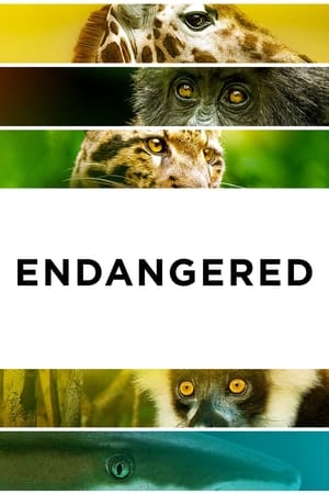 Poster Endangered (2021)