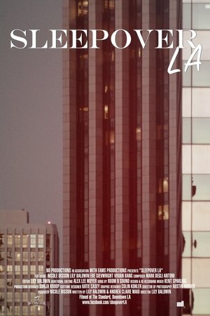 Image Sleepover LA