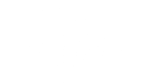 Hannah Montana : Spécial 20 Ans ! — logo
