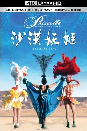 沙漠妖姬 (1994)