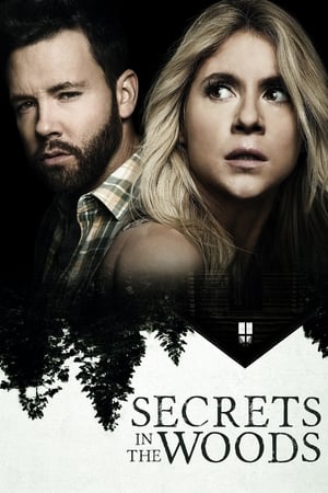 Poster Secrets in the Woods 2020