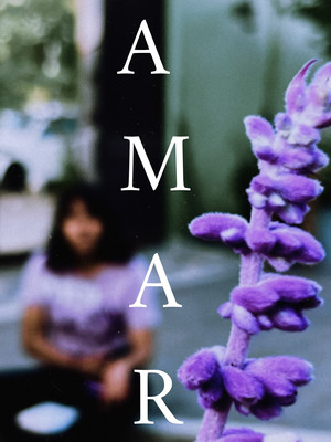 AMAR 3