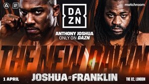 Anthony Joshua vs. Jermaine Franklin film complet