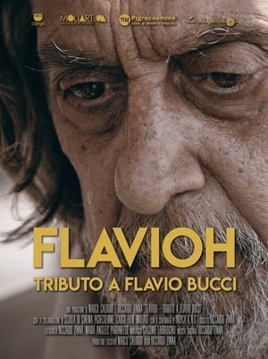 Poster Flavioh - Tributo a Flavio Bucci 2018