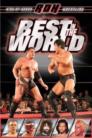 Ring of Honor: Best in the World poster