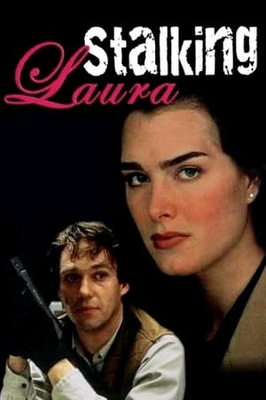 Poster Lauras Schatten 1993