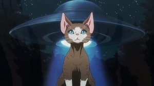 Nyaight of the Living Cat: 1×7