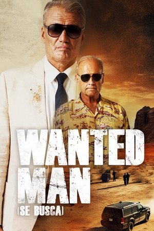 Poster Wanted Man 2024