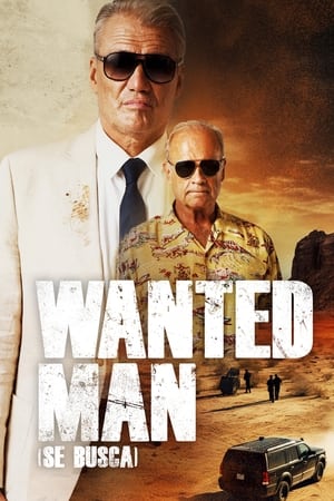Poster Wanted Man 2024