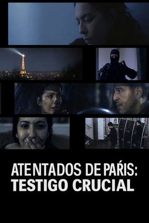 Image Atentados de París: testigo crucial