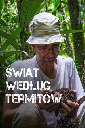 Image Świat według termitów