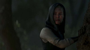 SJOR | Rise of the North