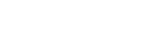 Will e Grace