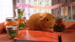 Cochon dingue: 2×14