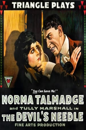 Poster The Devil's Needle (1916)