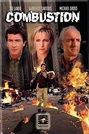 Poster Combustion (2004)