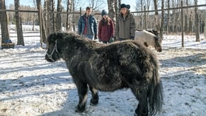 Heartland: Stagione 9 – Episodio 17