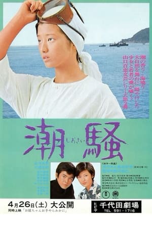 Poster 潮騒 1975