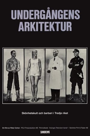Poster Undergångens arkitektur 1989