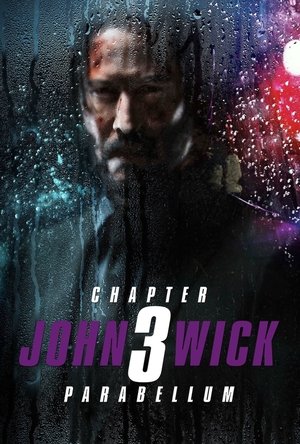 poster John Wick: Chapter 3 - Parabellum