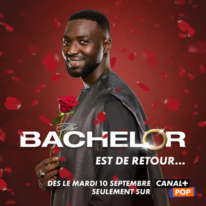 The Bachelor - Afrique