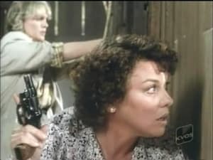 Cagney & Lacey A Fair Shake (2)