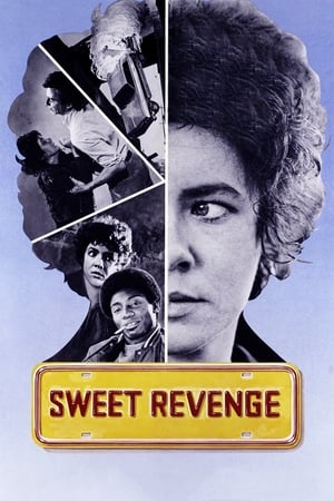 Poster Sweet Revenge 1976