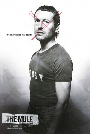 Постер фильма «Мул (2014)» — (13 из 28)