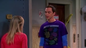 The Big Bang Theory: 6×17