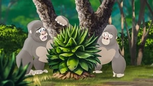 The Lost Gorillas