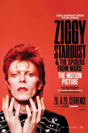 Ziggy Stardust and the Spiders from Mars 1983
