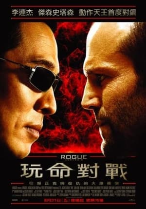 游侠 (2007)