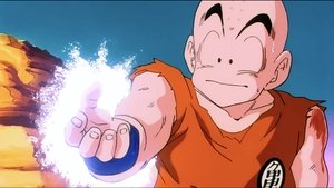 Image Krillin's Offensive