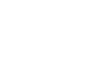 The Woman