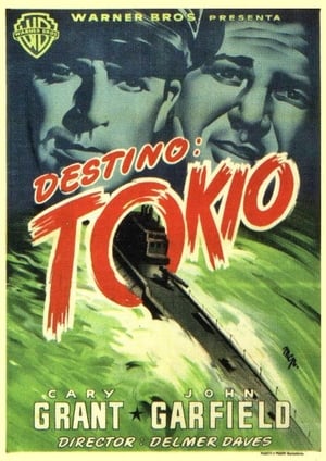 Poster Destino Tokio 1943