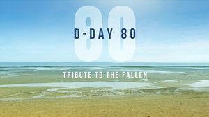 Tribute to the Fallen