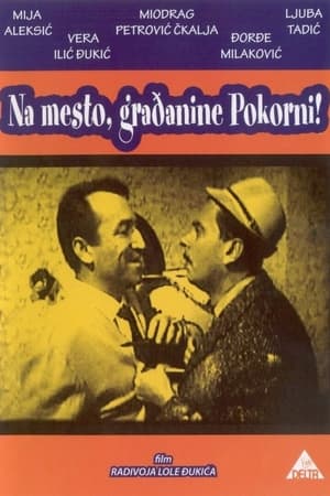Poster Citizen Pokorni (1964)