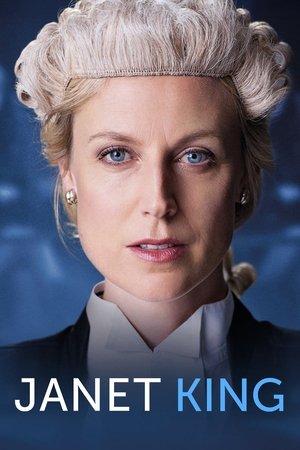 Poster Janet King Temporada 1 2014