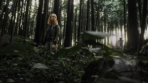 Espíritus en el Bosque (2017) HD 1080p Latino