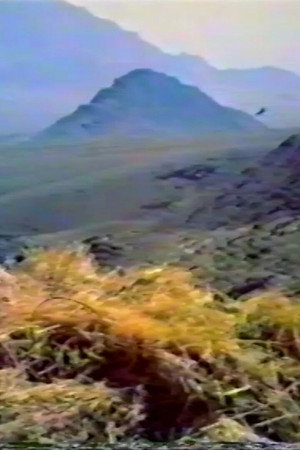 Think of the Kind Mountain