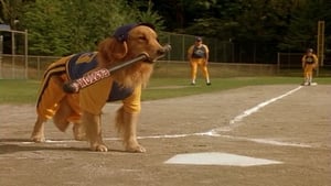 Air Bud: Seventh Inning Fetch