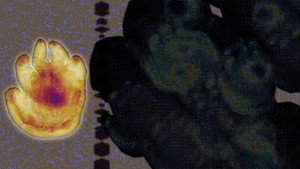 Image 2.5