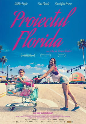 Poster Proiectul Florida 2017