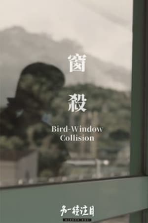 Bird-Window Collisions
