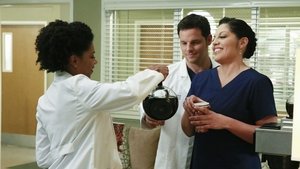 Grey’s Anatomy Season 11 Episode 22