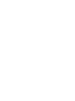 爱情应该有的样子 — Logos 3