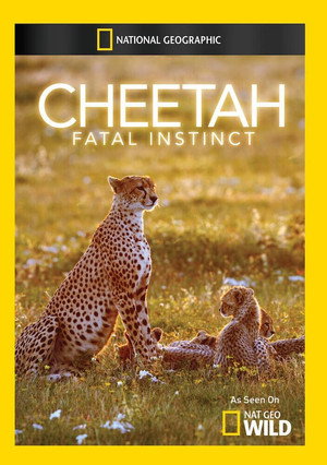 Cheetah Mom