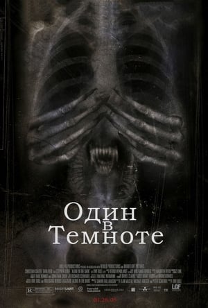 Poster Один в темноте 2005