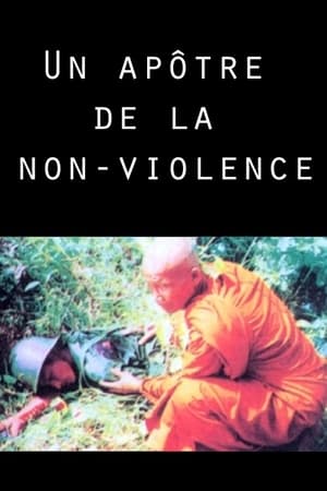 Poster An Apostle of Non-Violence (1997)