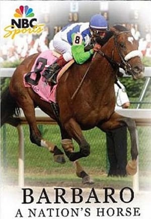 Poster Barbaro: A Nation's Horse 2007